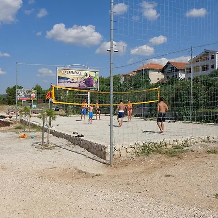 Hollywood סבטי פטר