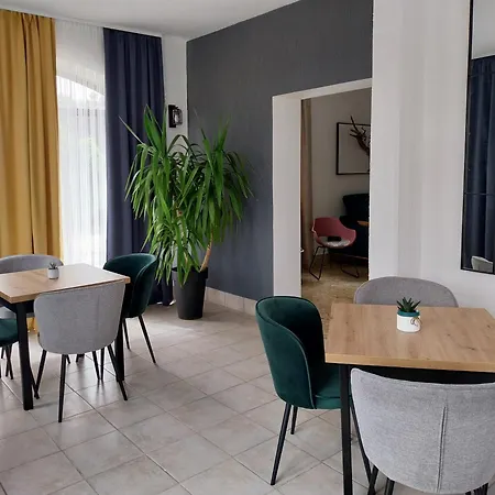 Hollywood סבטי פטר