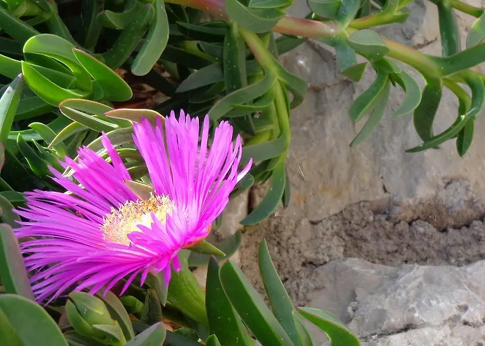 Bed & Breakfast Hollywood 3*